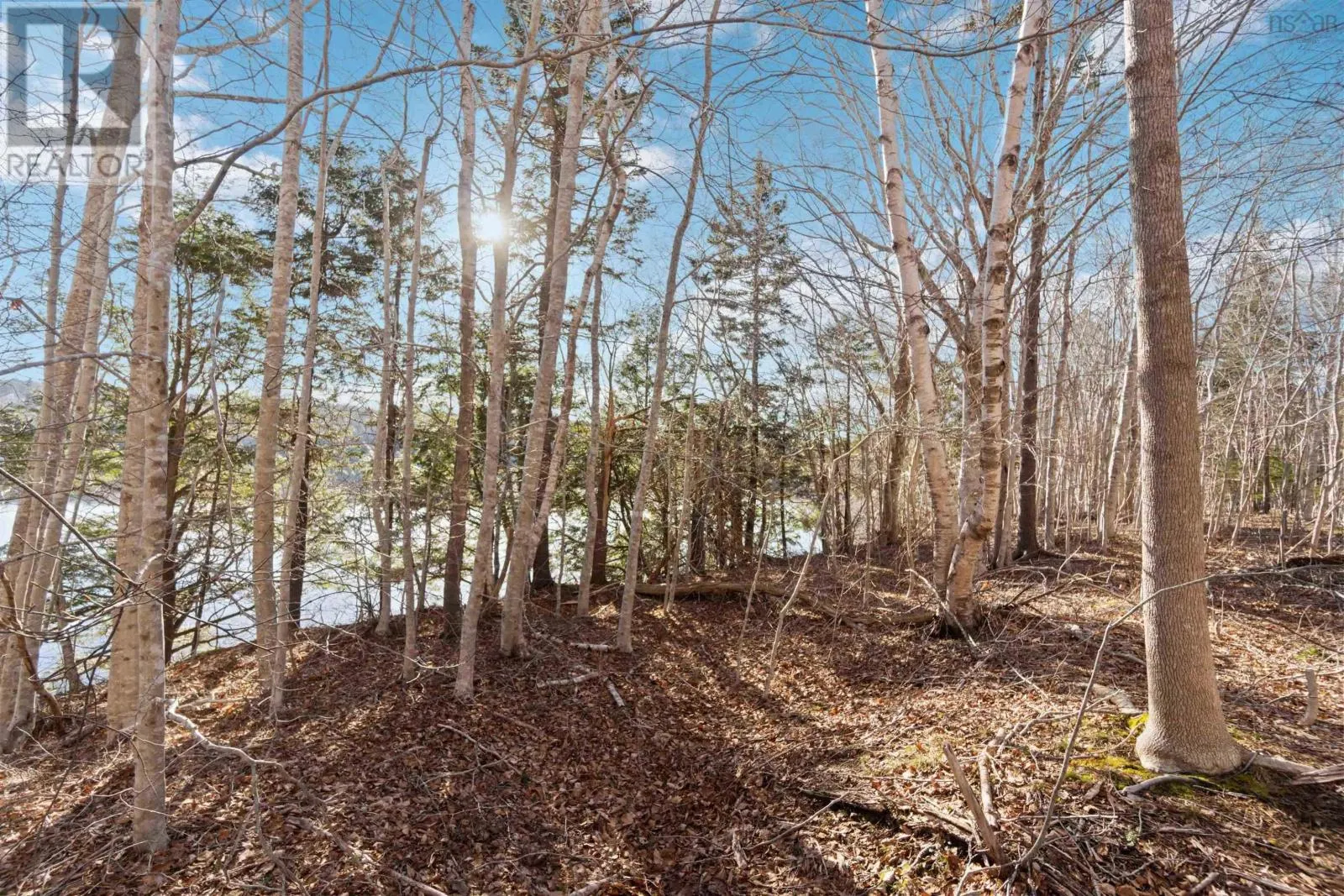Lot 3 Riverside Road