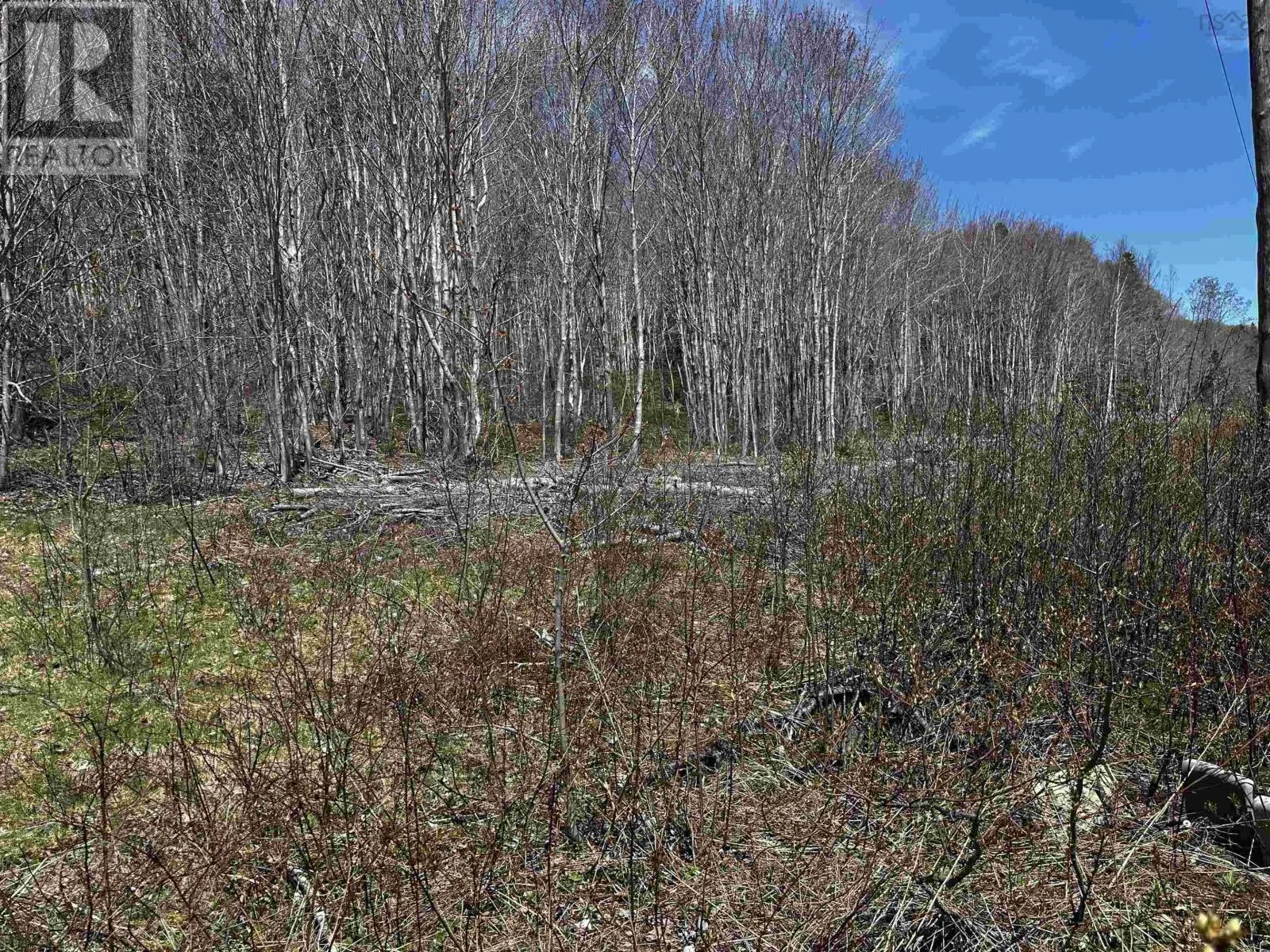 10783 NS-105 Highway