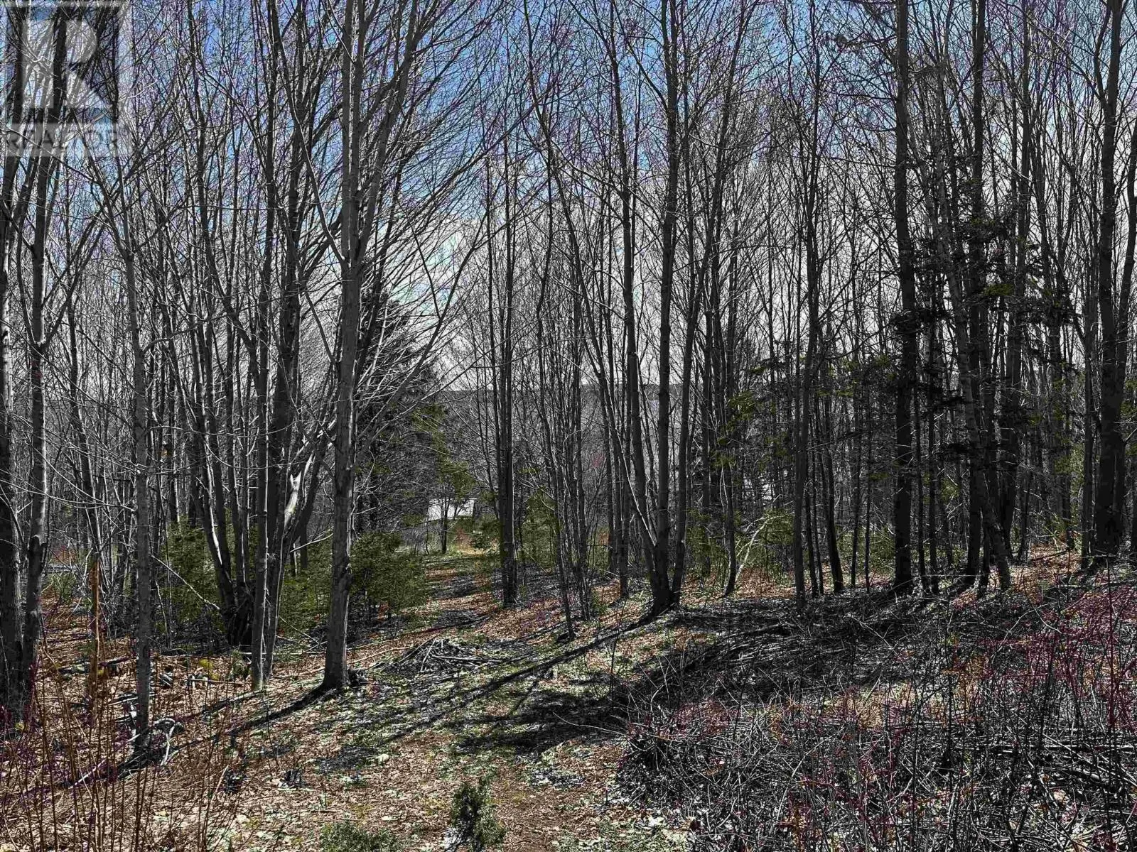 10783 NS-105 Highway