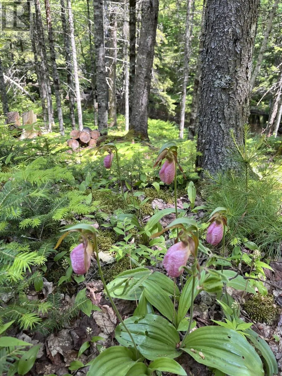 Lot 60 Pioneer Drive