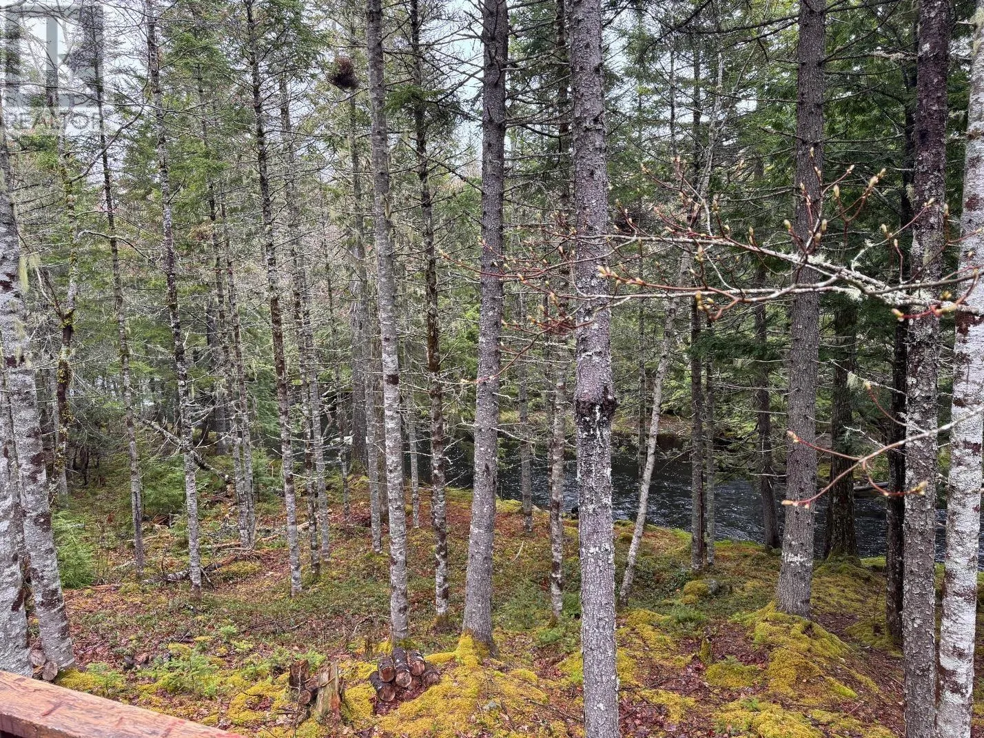 Lot 60 Pioneer Drive