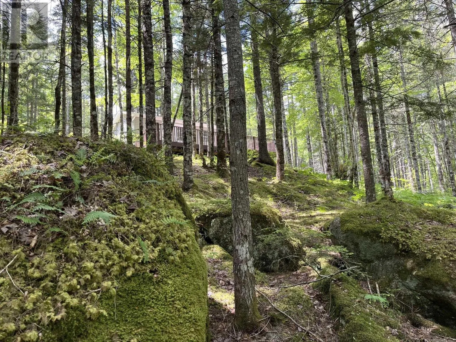 Lot 60 Pioneer Drive