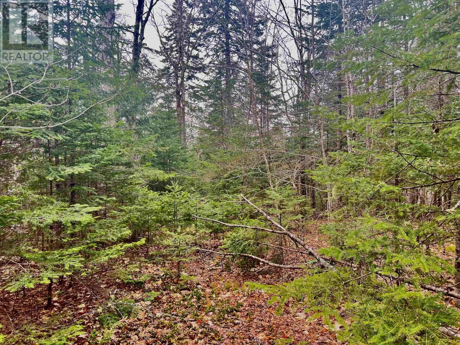 Lot 18 Stonebroke Road