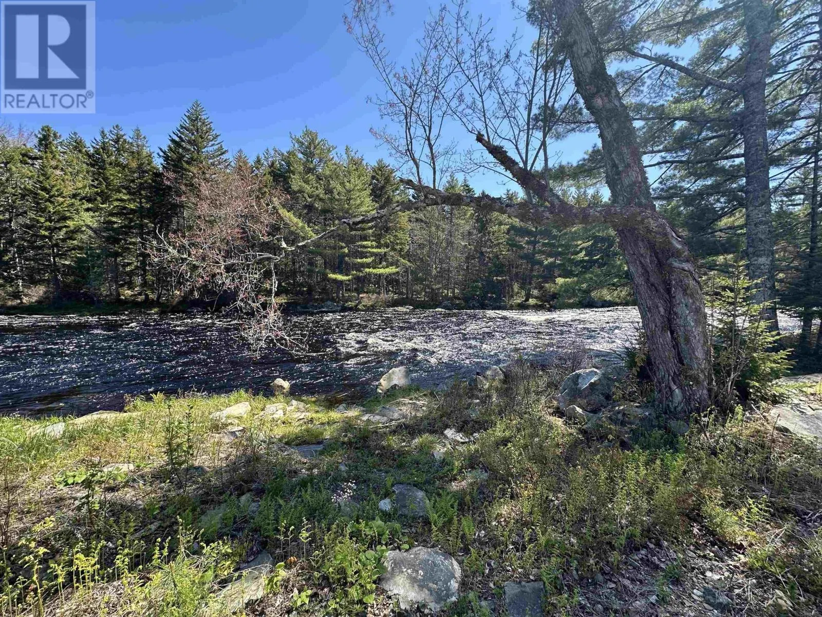 1202 Boutilier Branch Road
