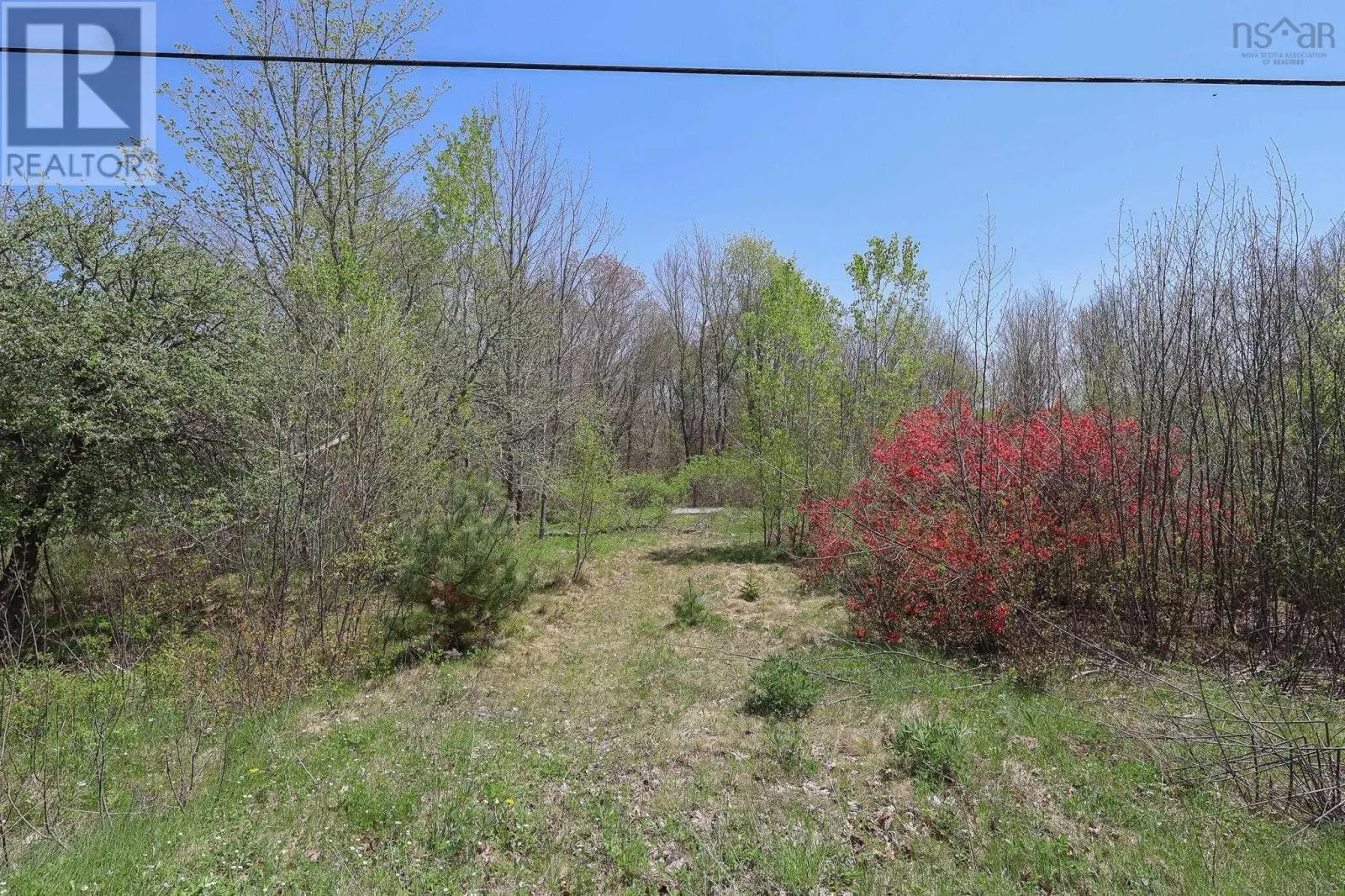 Lot PID70136619 Westfield Road