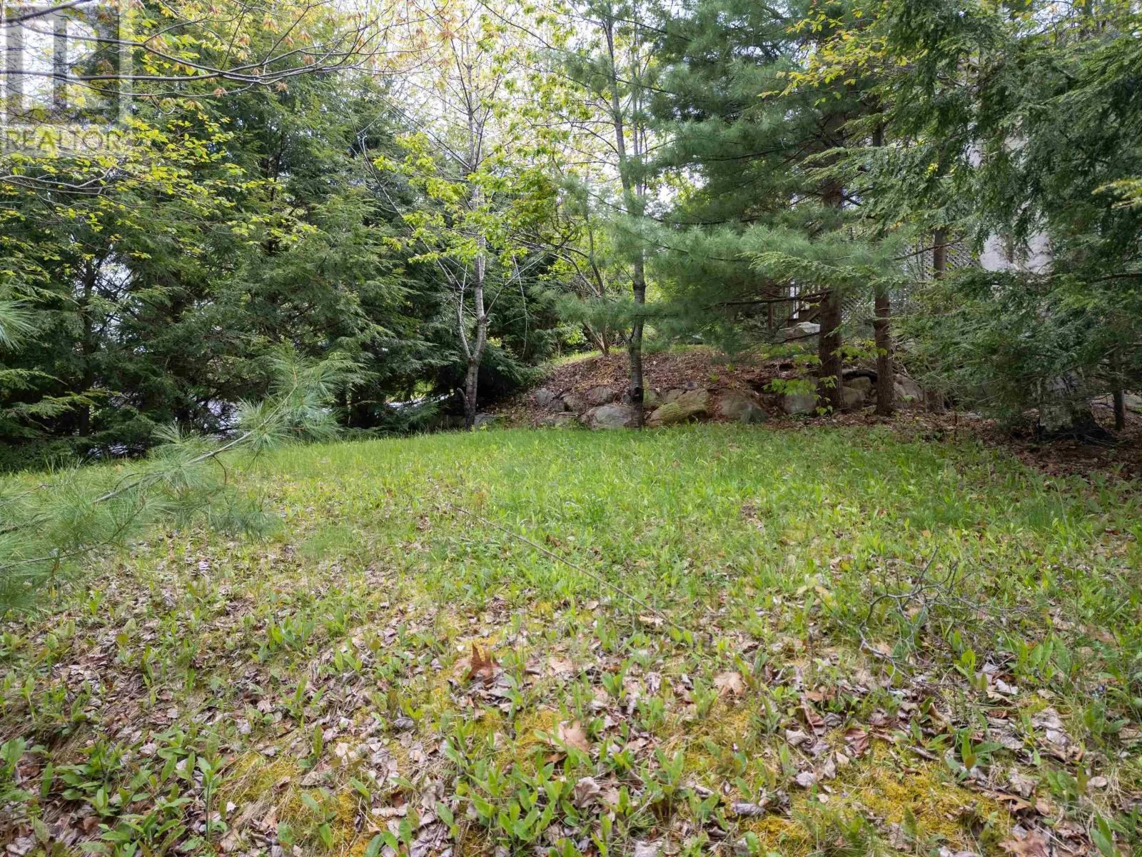 11 Millview Avenue
