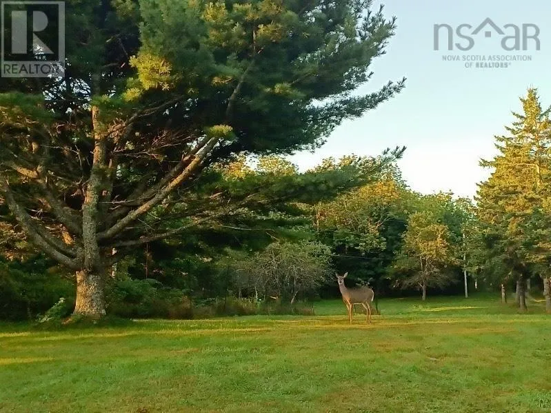 65 Shore Road