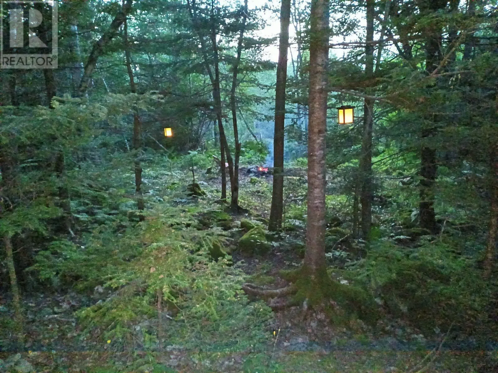 65 Shore Road