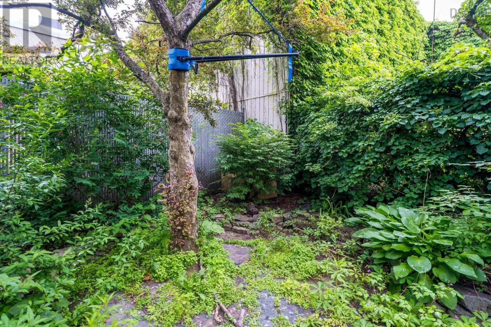 2427 Agricola Street
