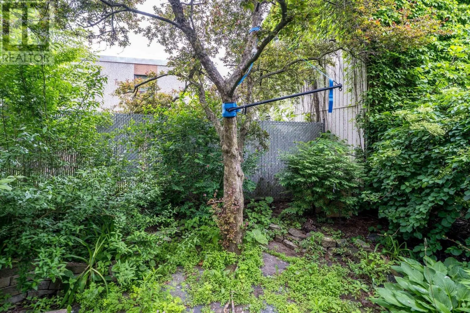 2427 Agricola Street