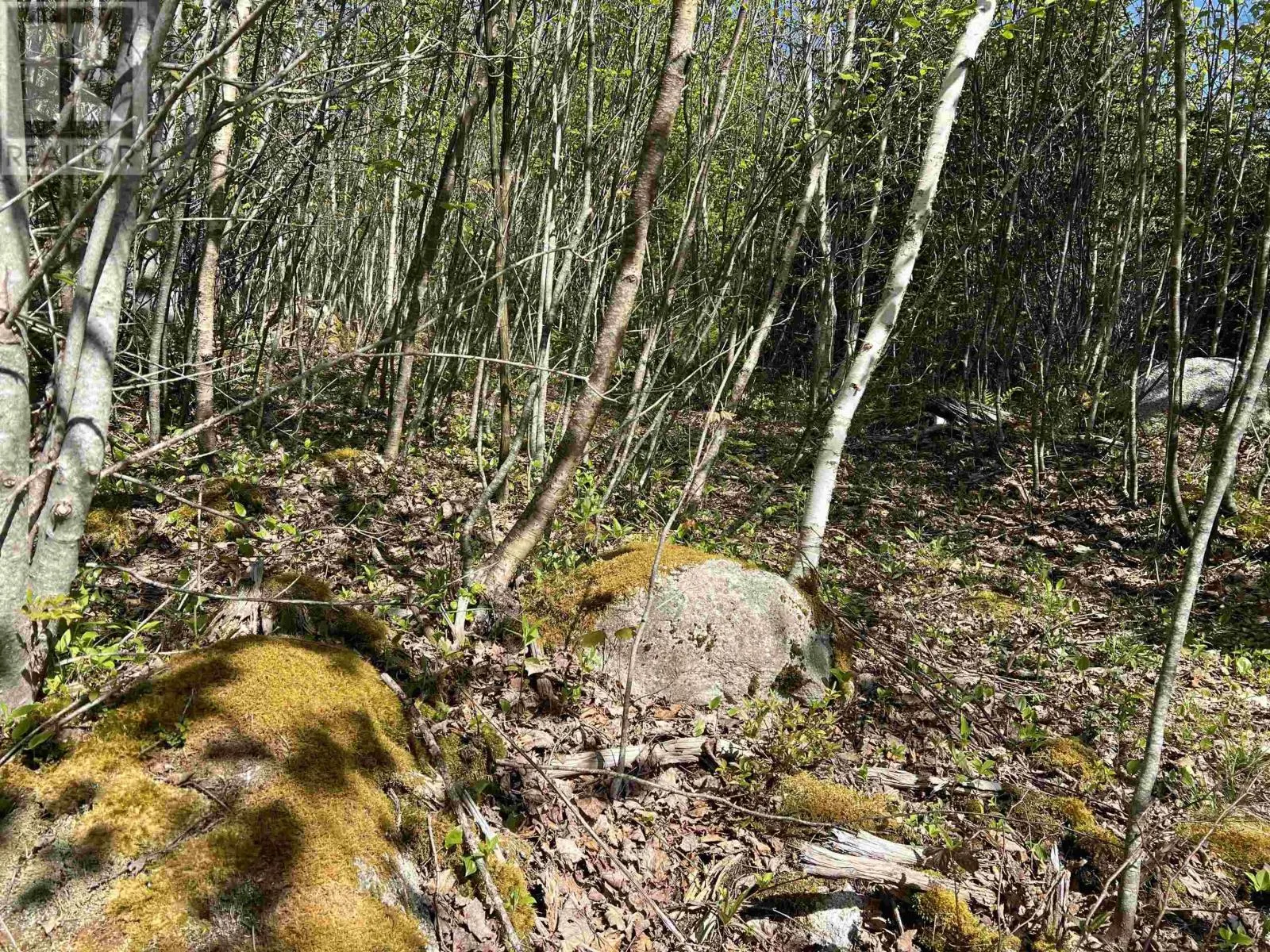 Lot 2A Highway 329