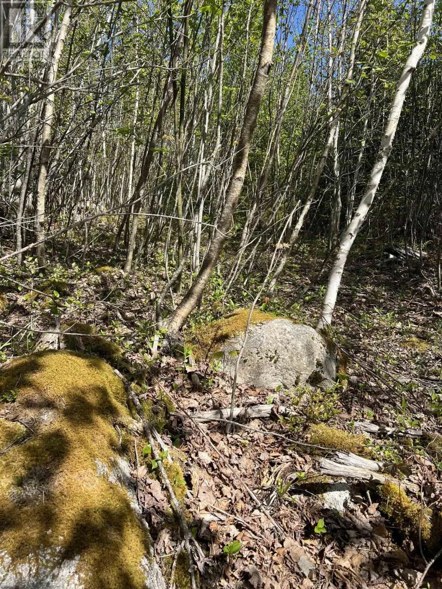 Lot 2A Highway 329