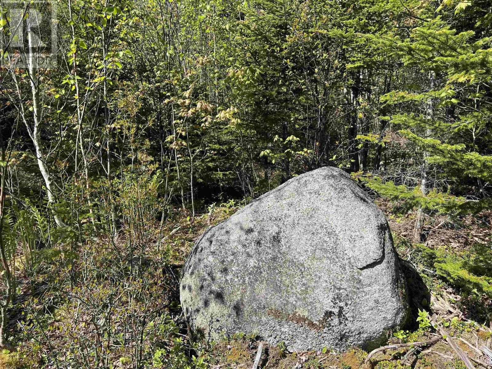 Lot 2A Highway 329
