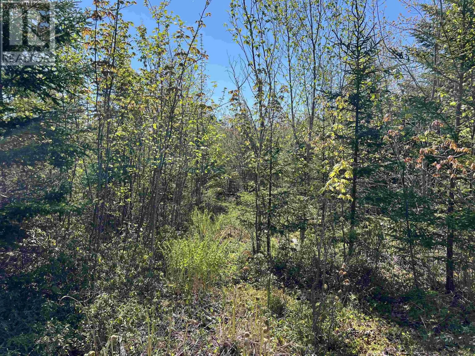 Lot 2A Highway 329