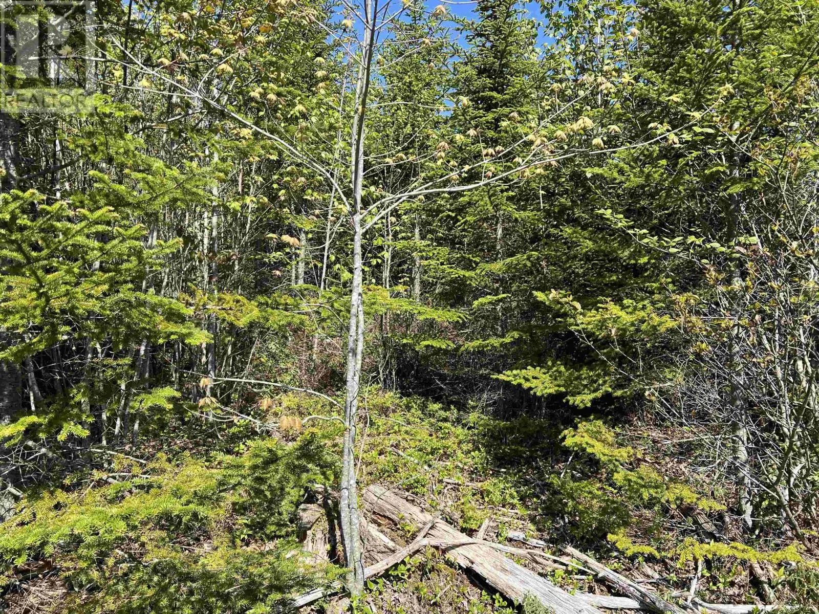 Lot 2A Highway 329