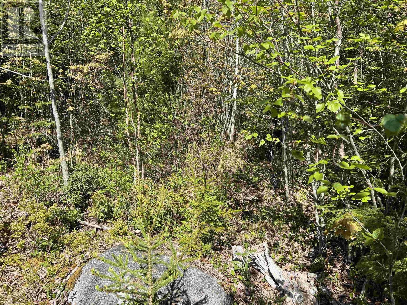 Lot 2A Highway 329