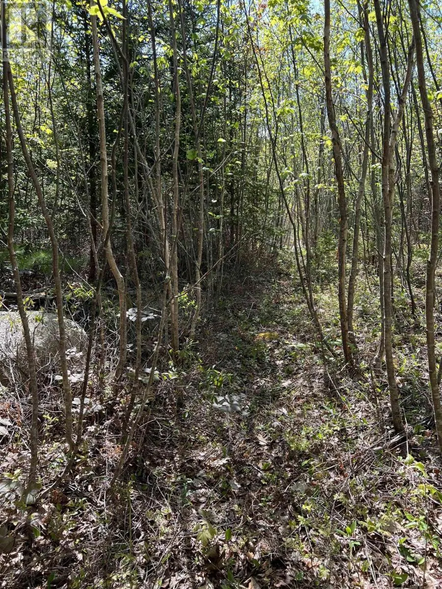 Lot 2A Highway 329