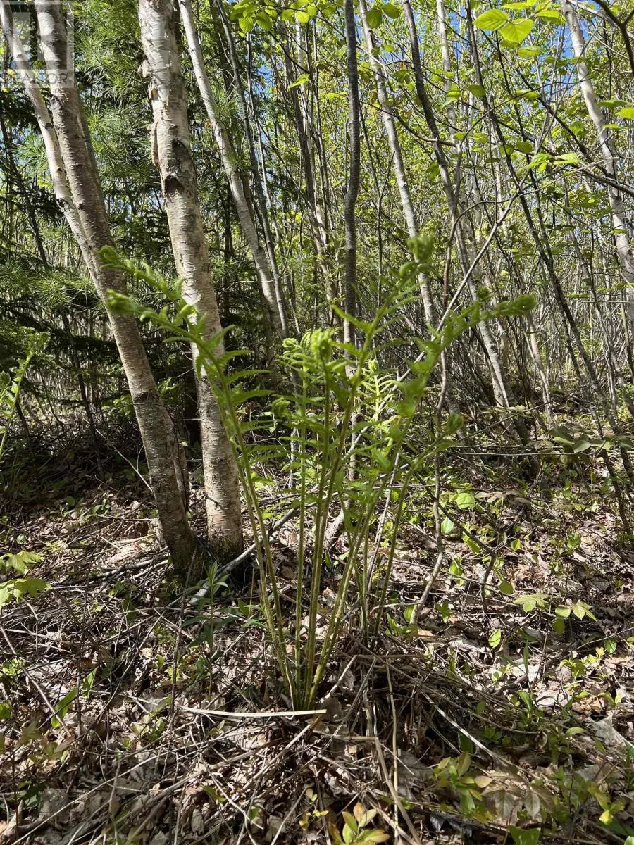 Lot 2A Highway 329