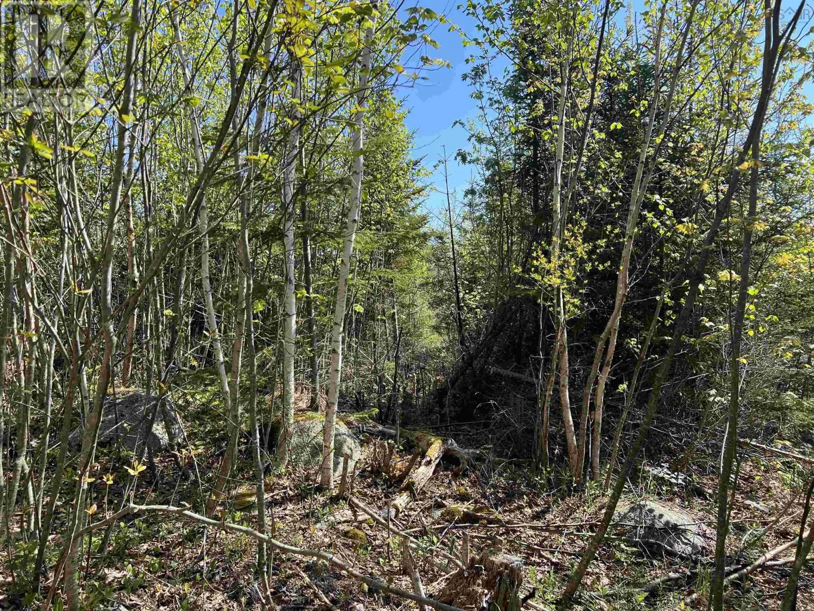 Lot 2A Highway 329