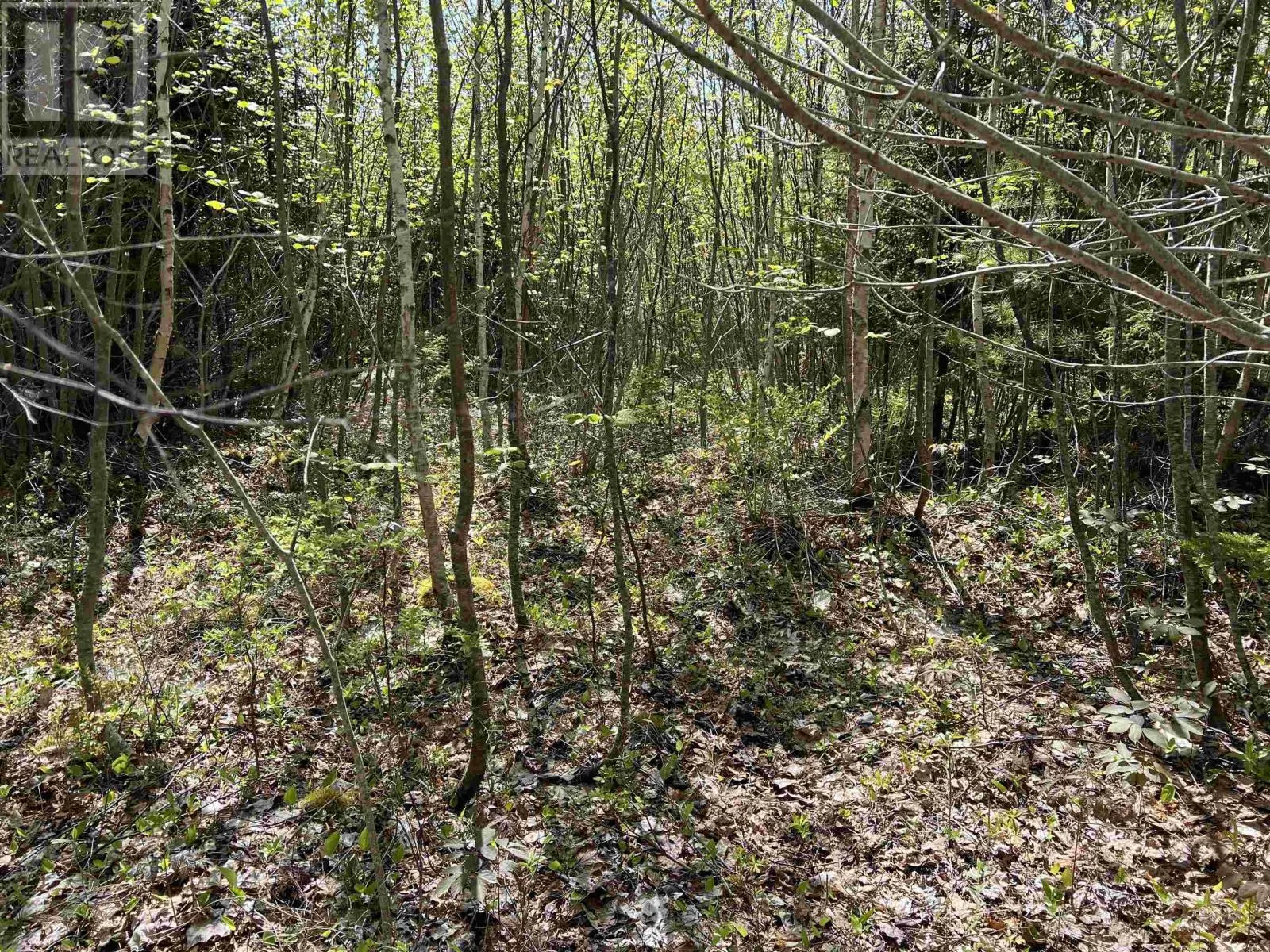 Lot 2A Highway 329