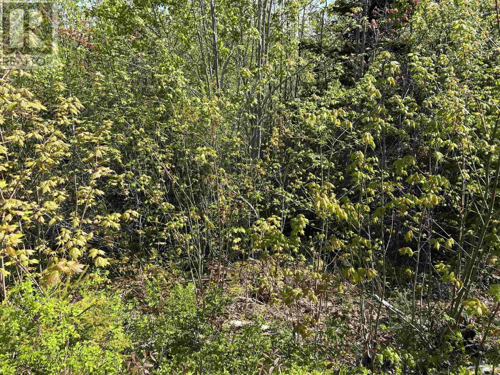 Lot 2A Highway 329