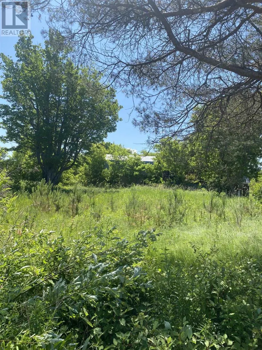 381 Rte 14