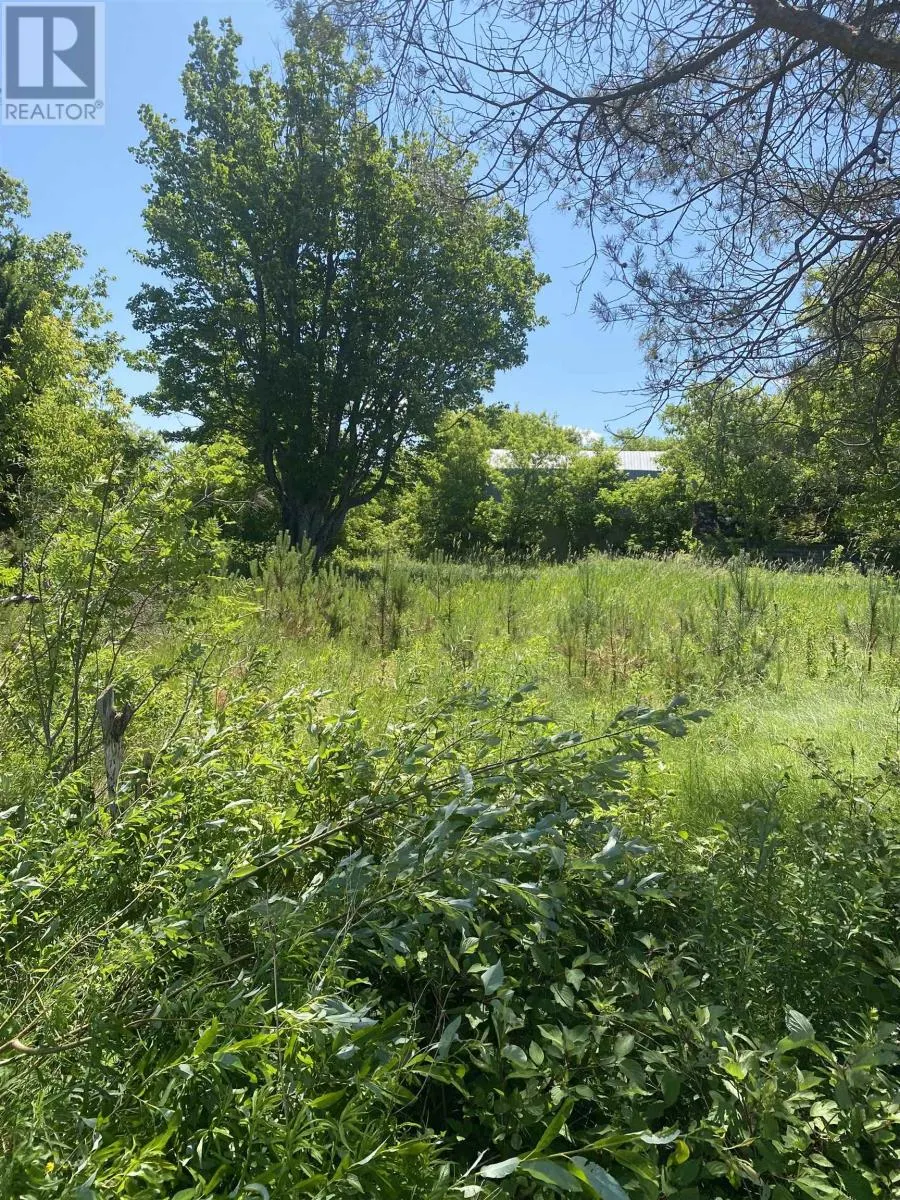 381 Rte 14