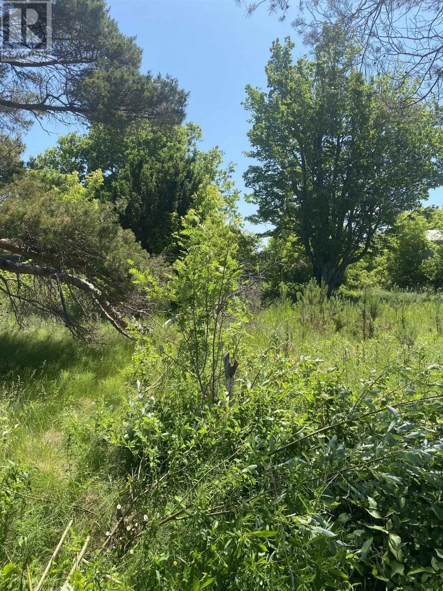 381 Rte 14