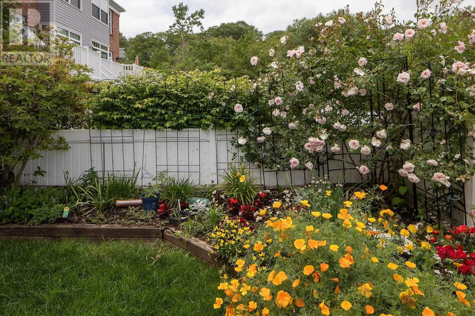 4 Arthur Lismer Court