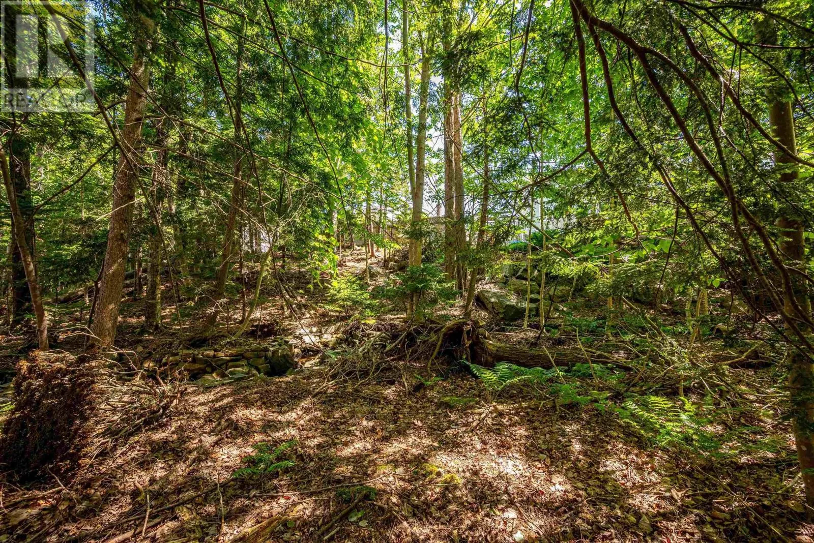 248 Acadia Mill Drive