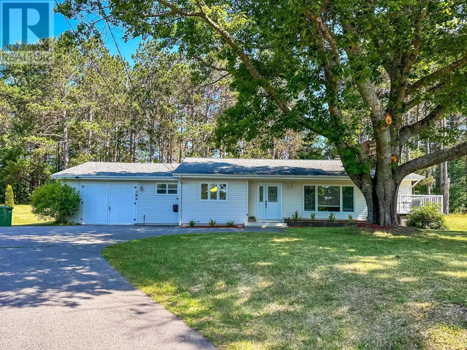 389 Pine Ridge Avenue
