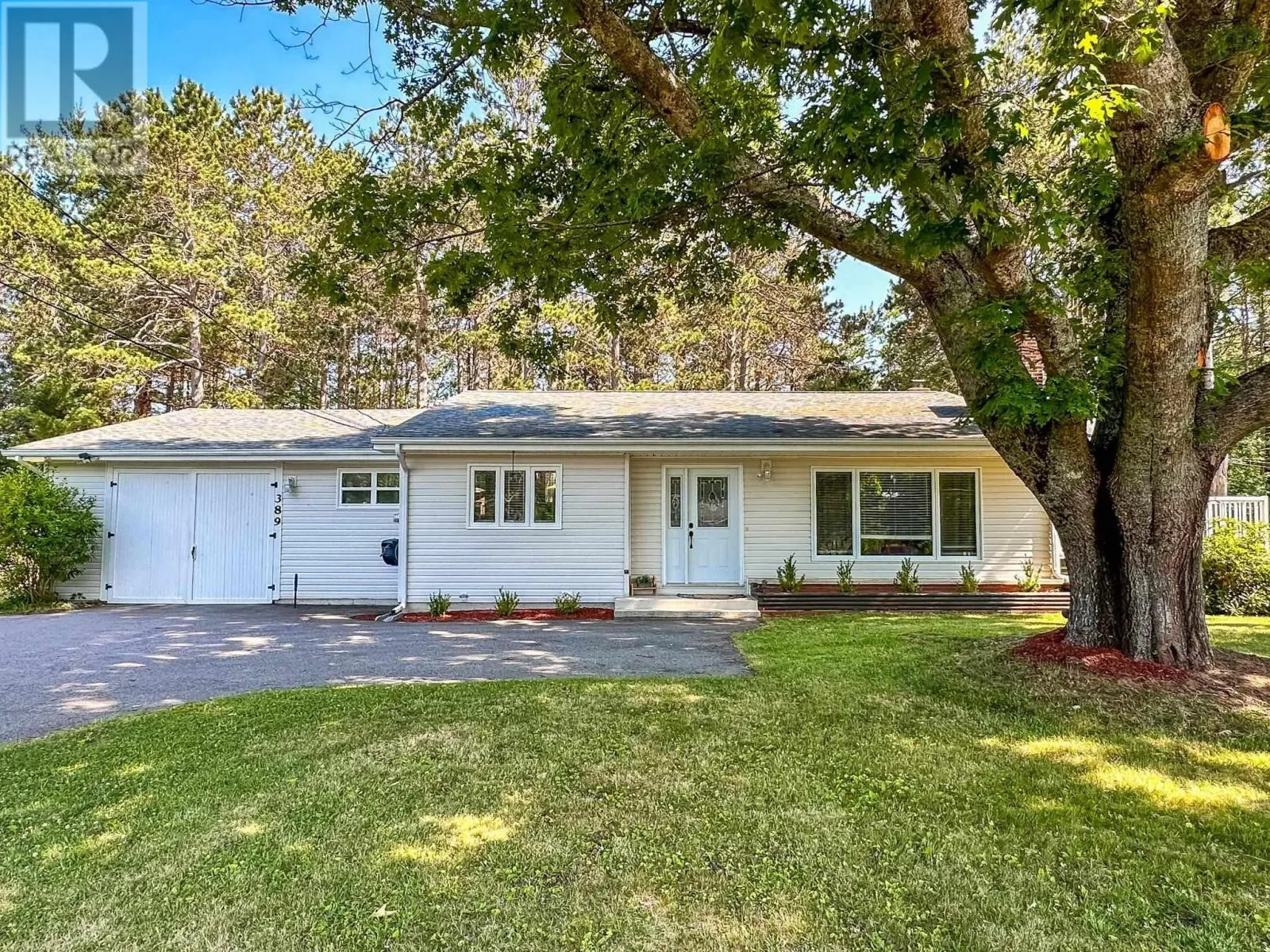 389 Pine Ridge Avenue