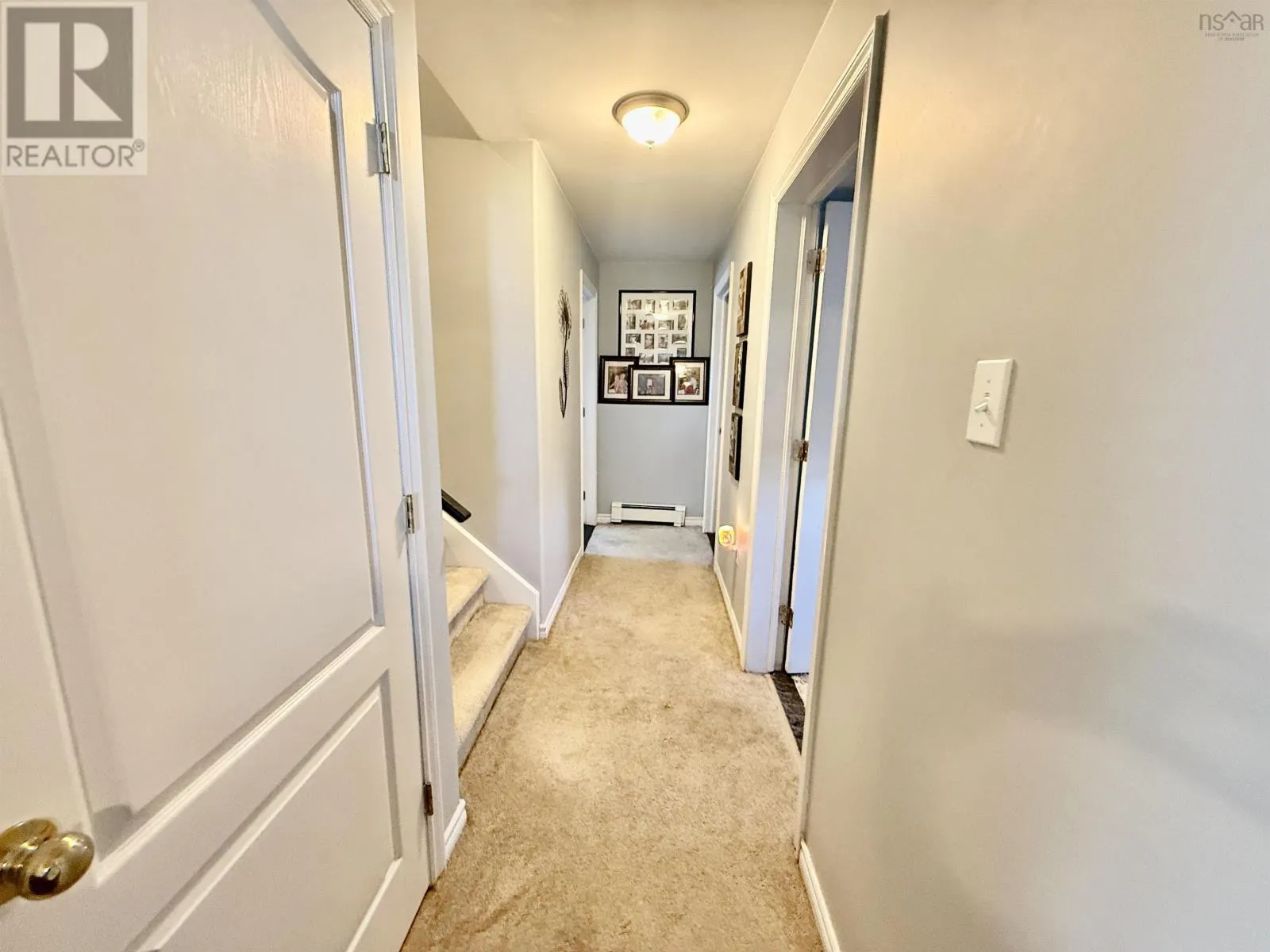153 Beech Tree Run