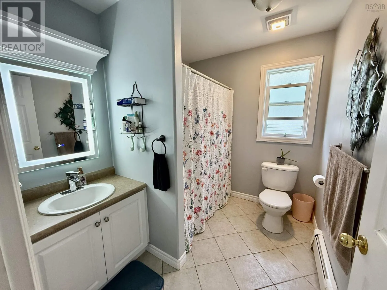 153 Beech Tree Run