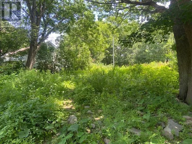 15 Springhill Drive