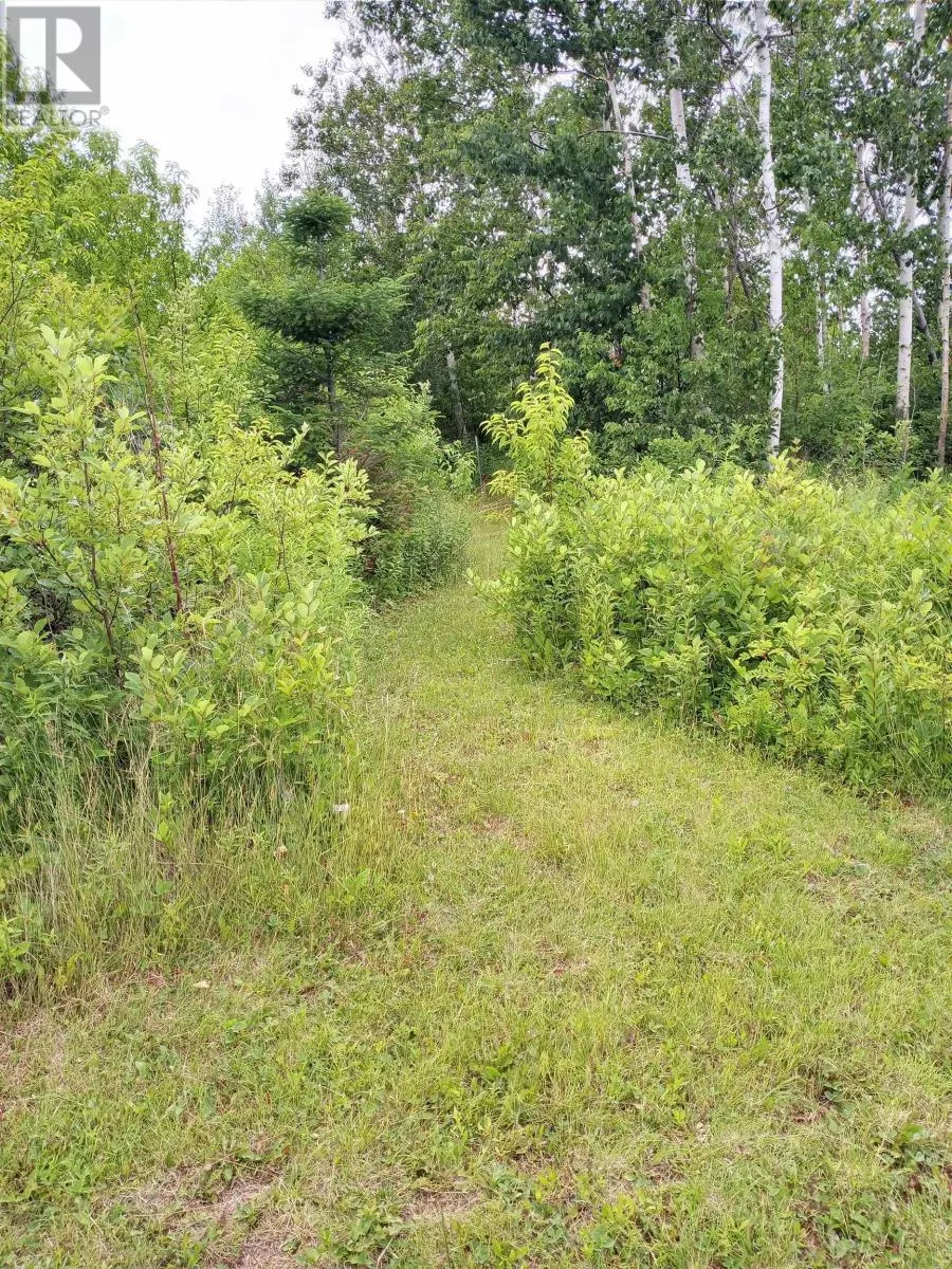 Lot 11-1 Curley Lane