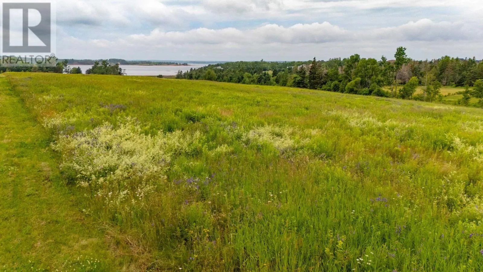 Acreage Burge Lane