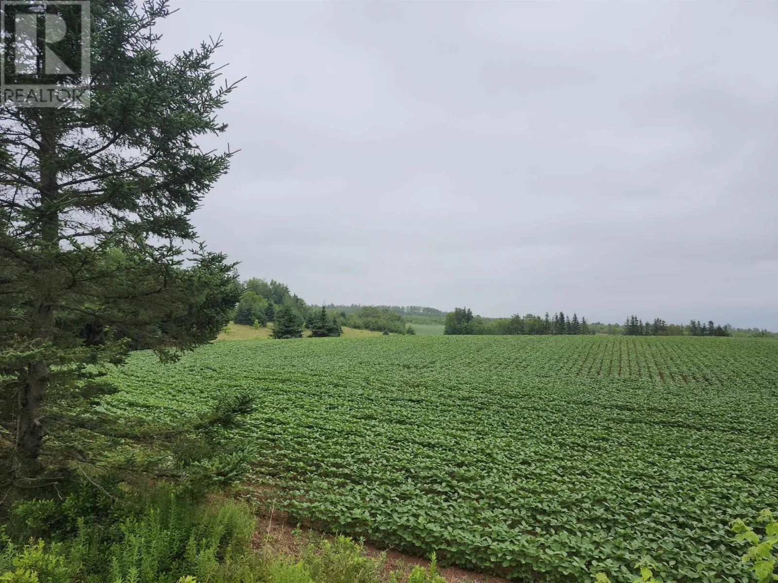 Acreage Selkirk Road