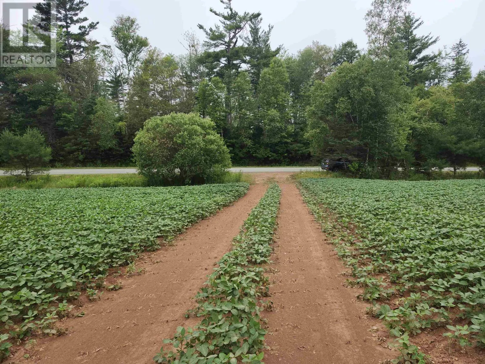 Acreage Selkirk Road