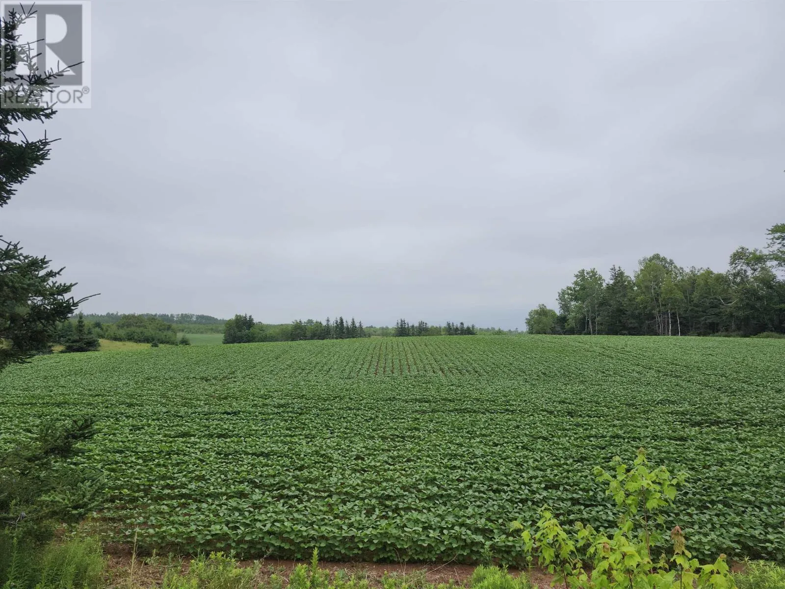 Acreage Selkirk Road