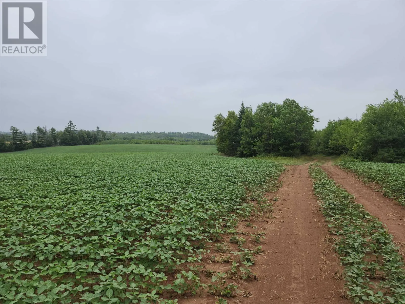 Acreage Selkirk Road