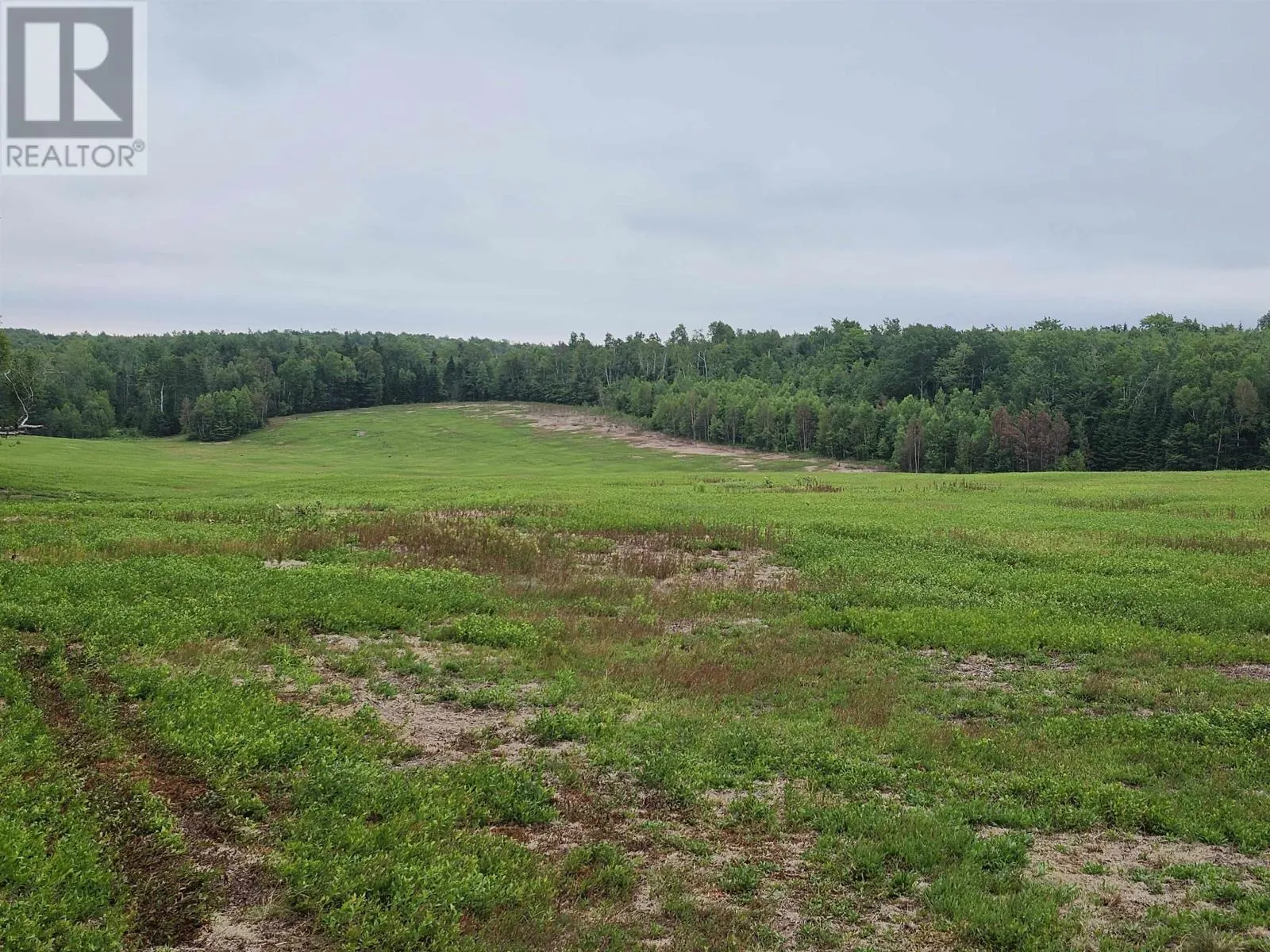 Acreage Wood Islands Road