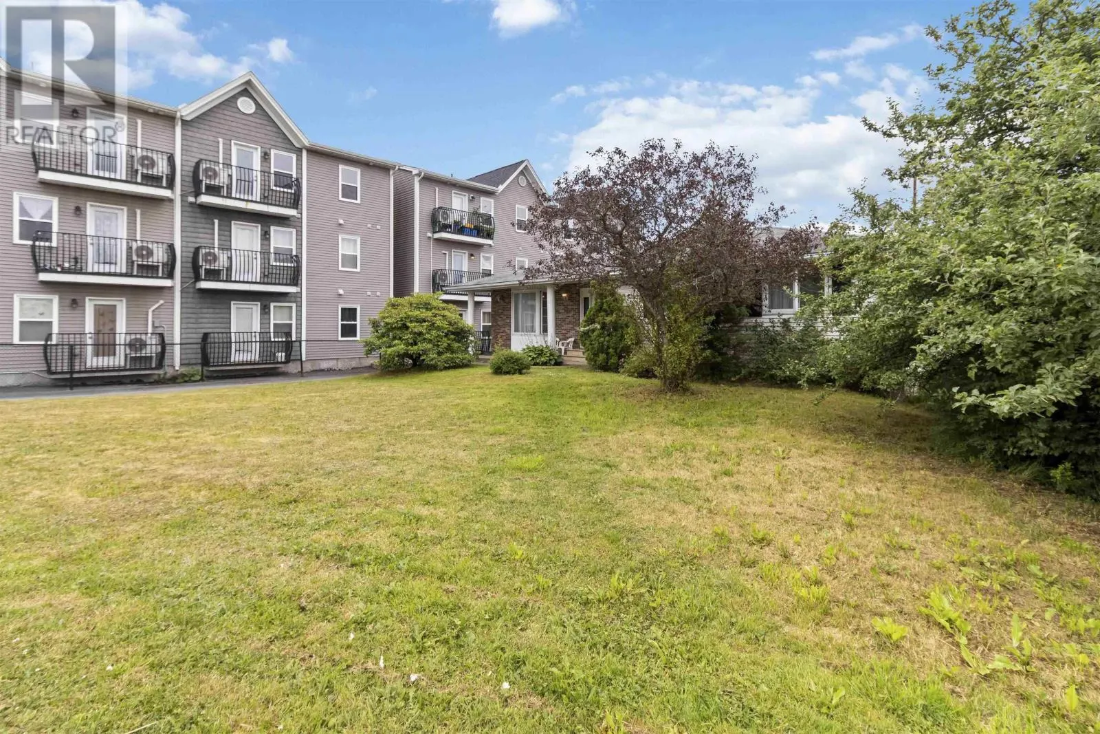 87 Cow Bay Road