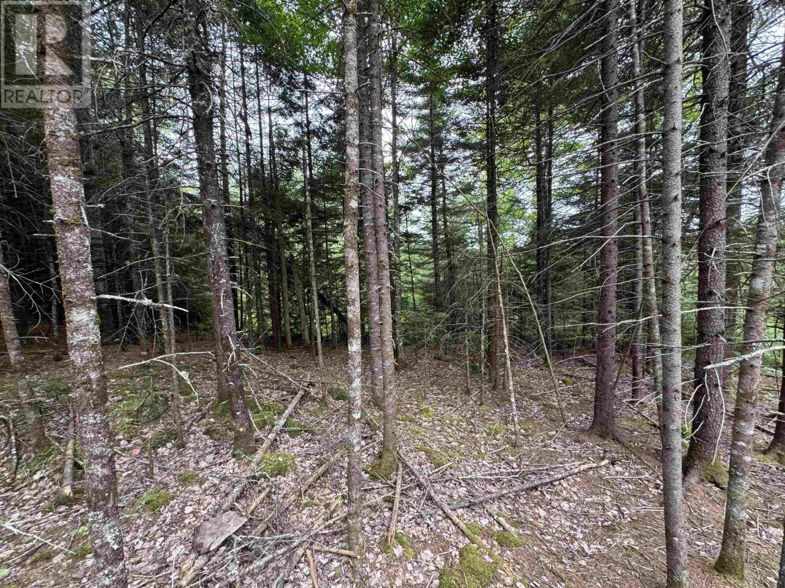126 Middle Lake South Road