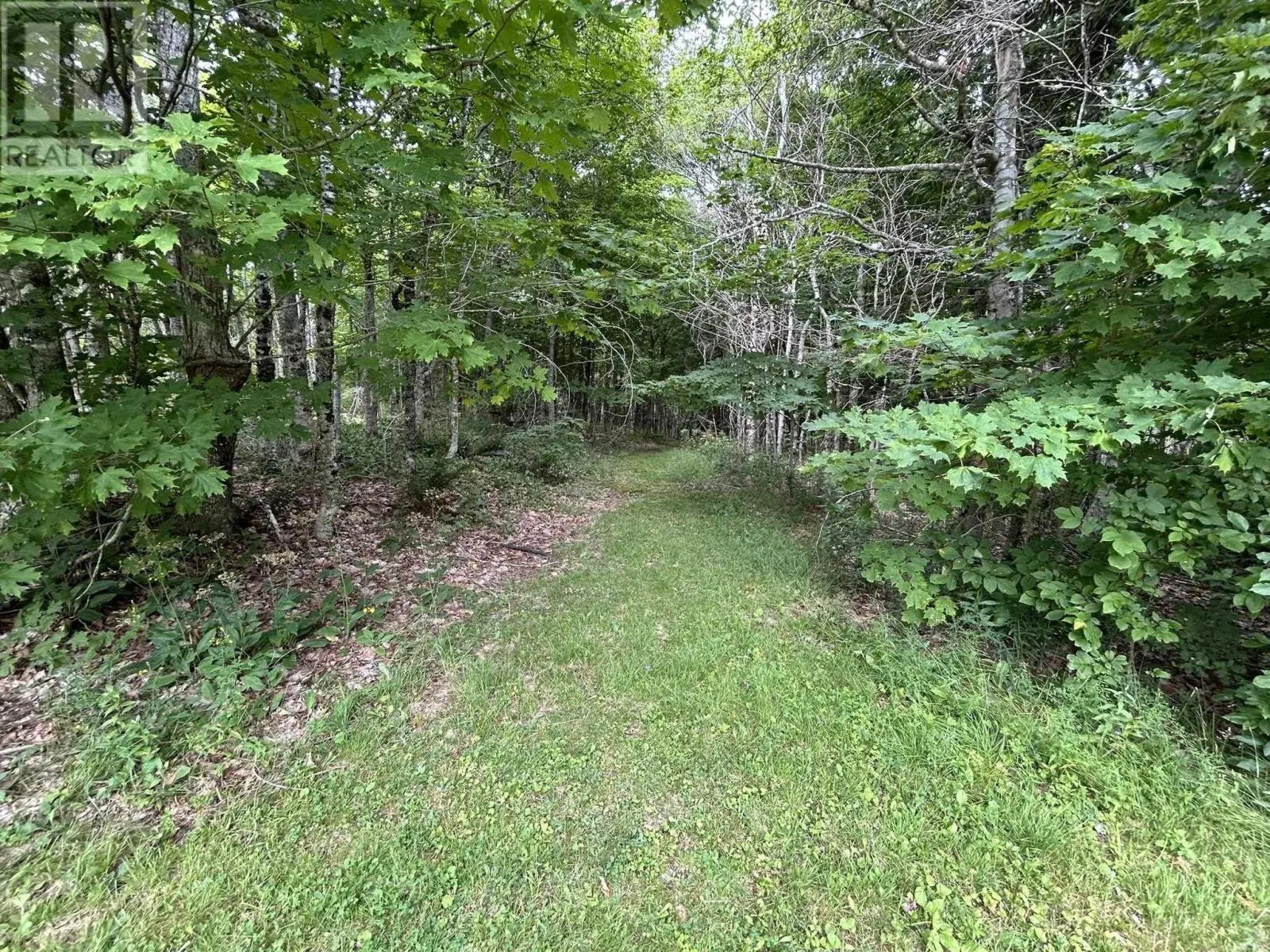 1079 Welch Branch
