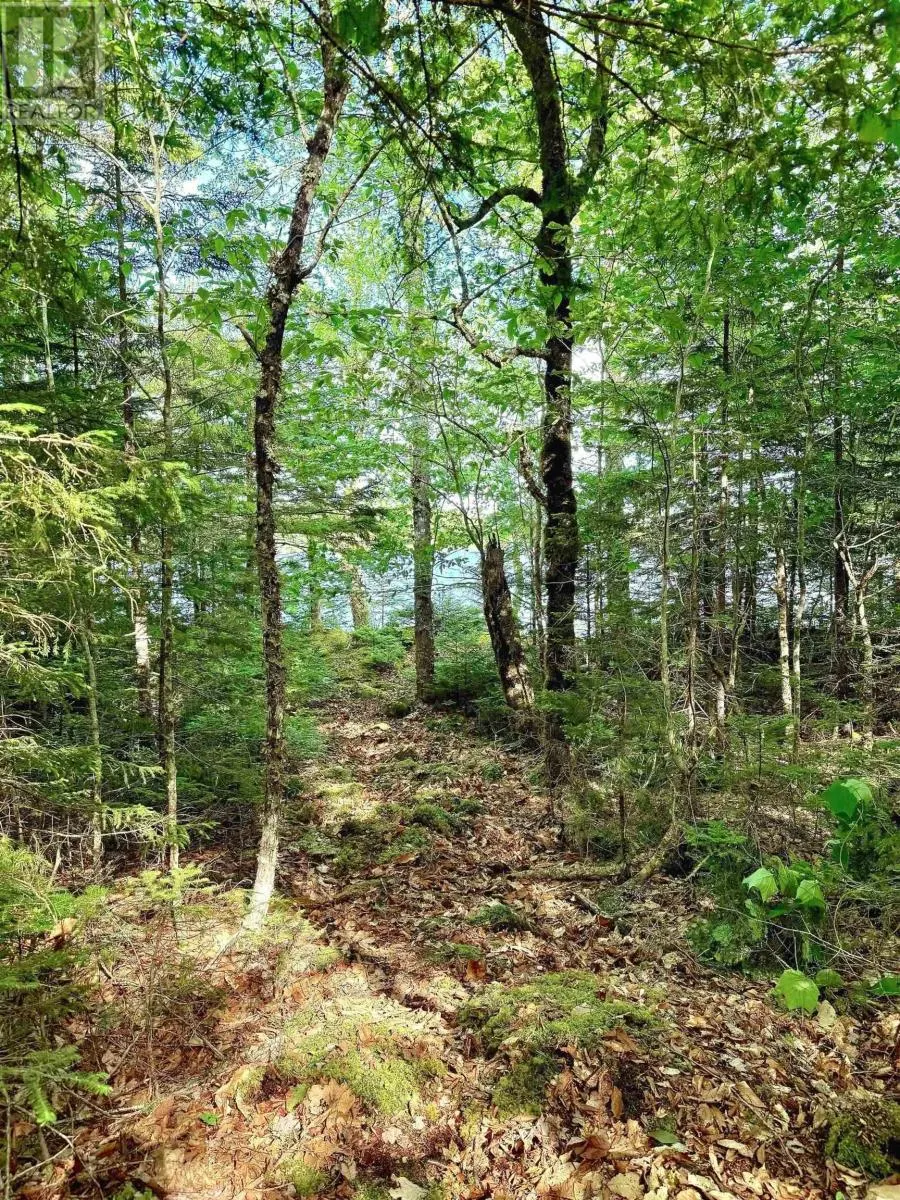 Lot 40 Cliff Road