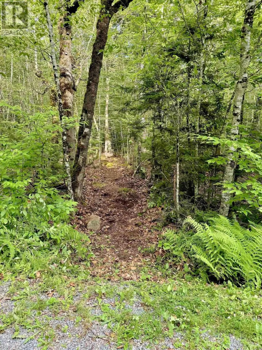 Lot 40 Cliff Road