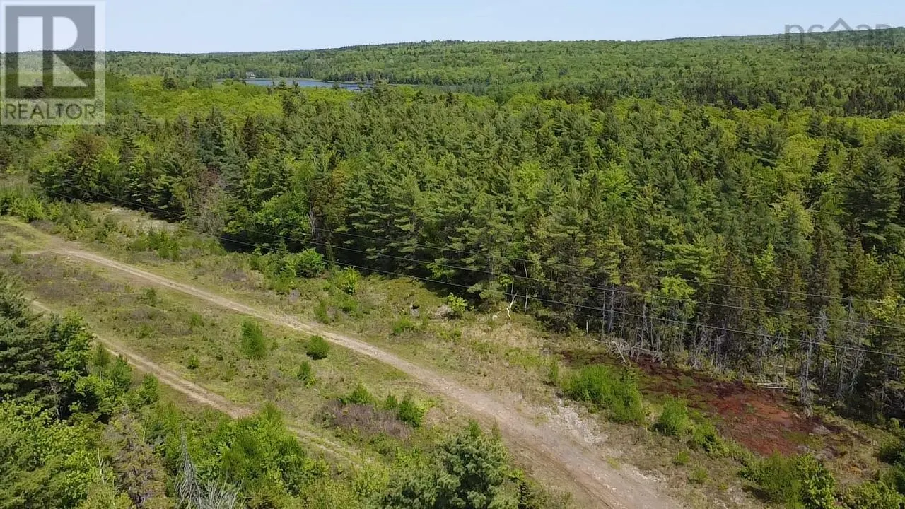 75 Leafs Lane