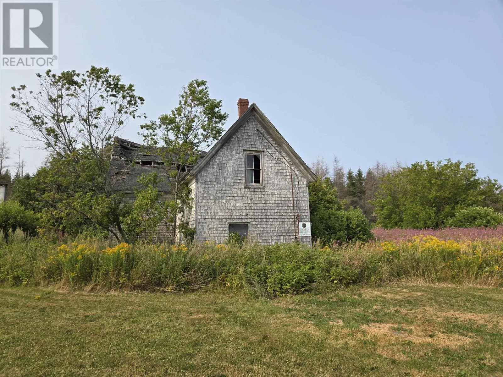 44 Buchanan Road