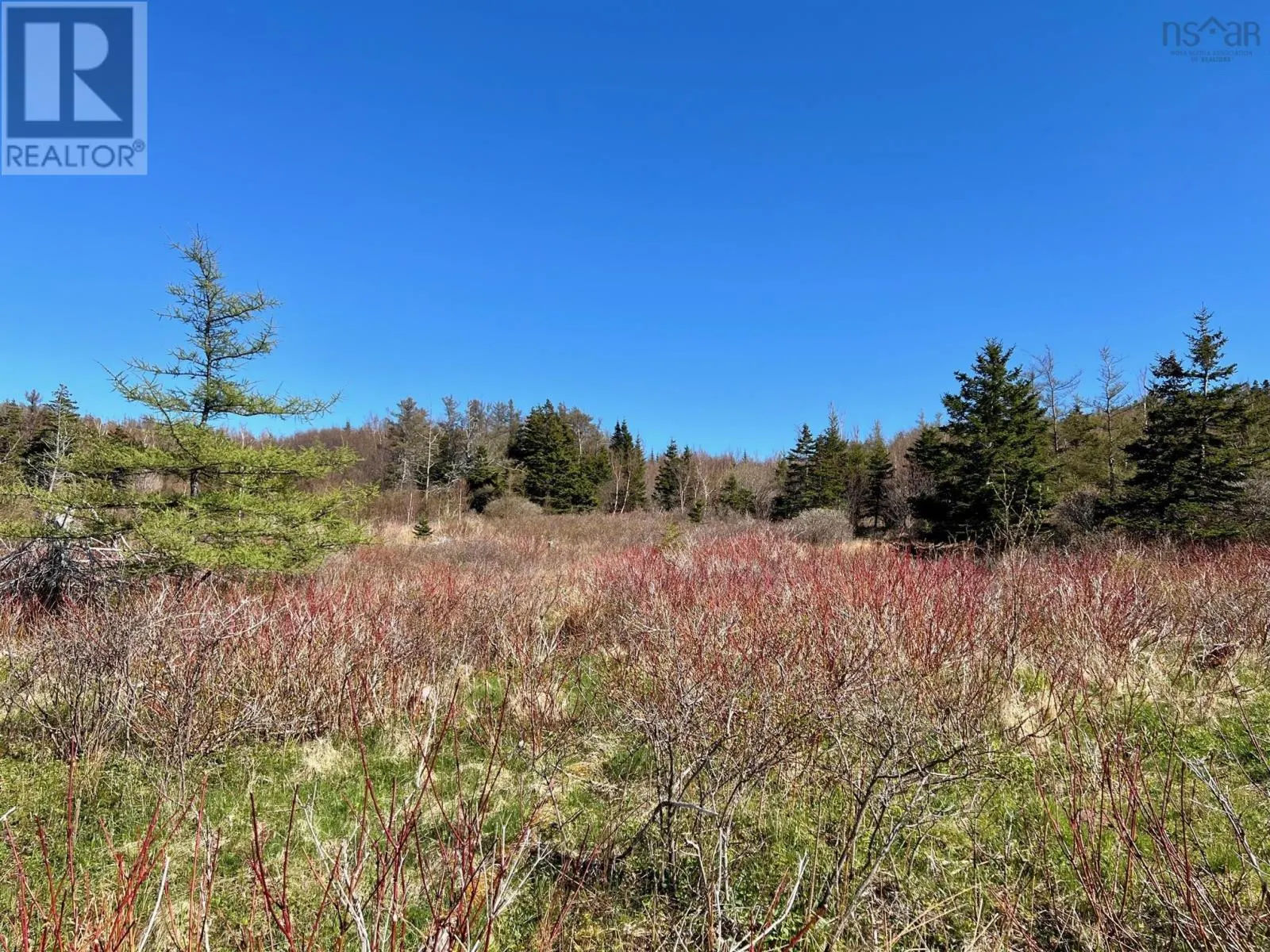 11838 Cabot Trail